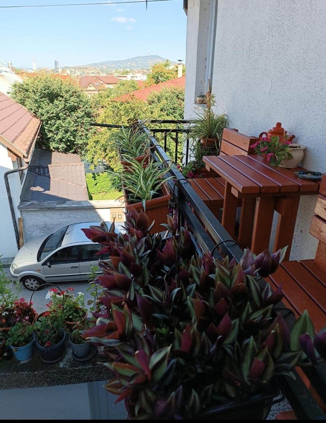 Appartement Ohren *